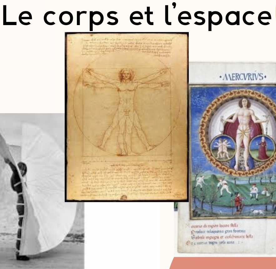 séance du 10 février 2026